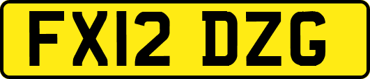 FX12DZG