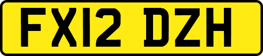 FX12DZH