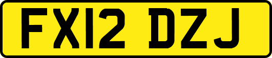 FX12DZJ