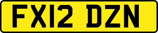 FX12DZN