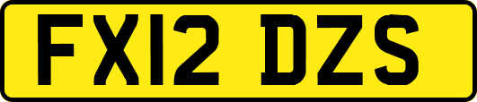 FX12DZS