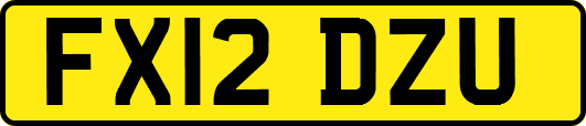 FX12DZU