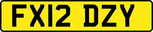 FX12DZY