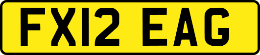 FX12EAG