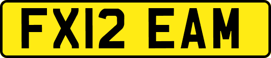 FX12EAM