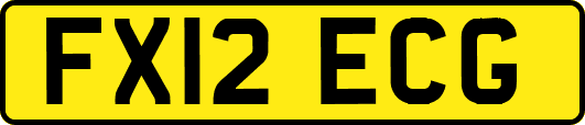 FX12ECG