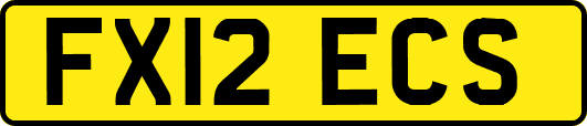 FX12ECS