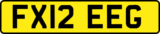 FX12EEG