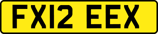 FX12EEX