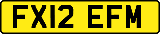 FX12EFM