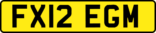 FX12EGM