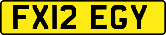 FX12EGY