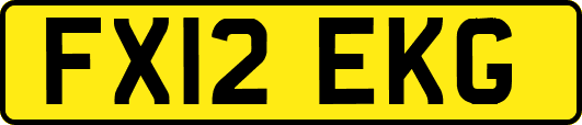 FX12EKG