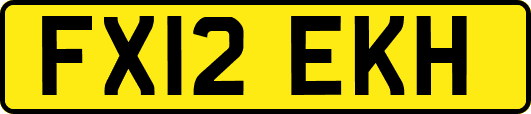 FX12EKH