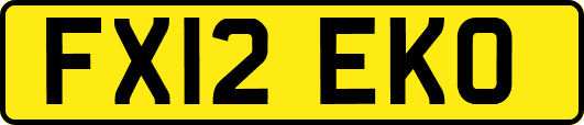FX12EKO