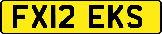 FX12EKS