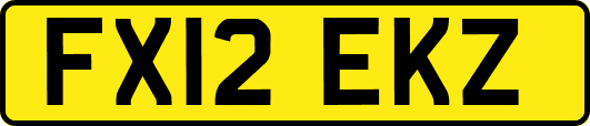 FX12EKZ