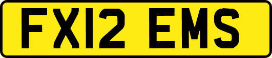 FX12EMS