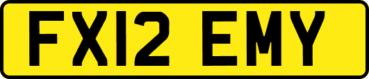 FX12EMY