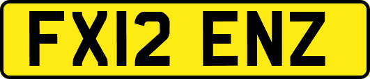 FX12ENZ