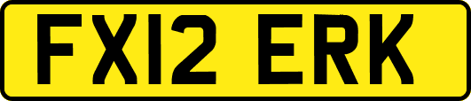 FX12ERK