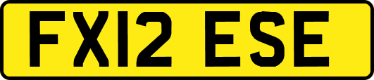 FX12ESE