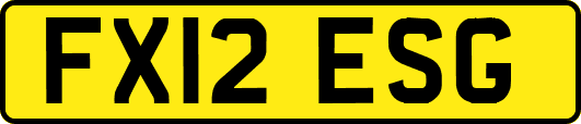 FX12ESG