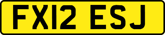 FX12ESJ