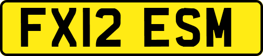 FX12ESM