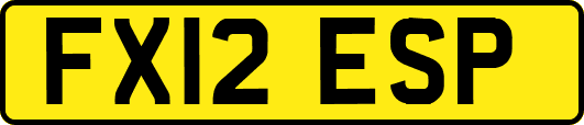 FX12ESP