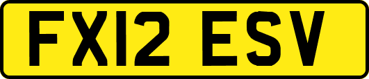 FX12ESV