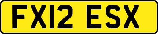 FX12ESX