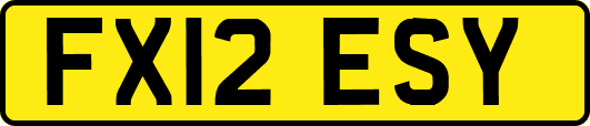 FX12ESY