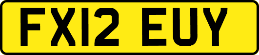 FX12EUY