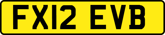 FX12EVB