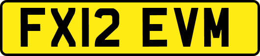 FX12EVM