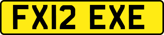 FX12EXE