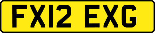 FX12EXG