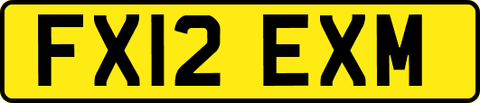 FX12EXM