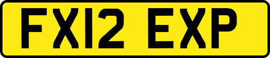 FX12EXP