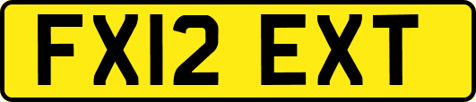 FX12EXT