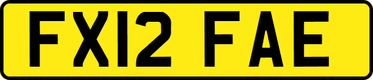 FX12FAE