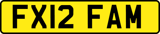FX12FAM