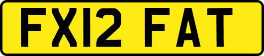 FX12FAT