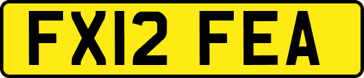FX12FEA