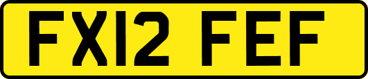 FX12FEF