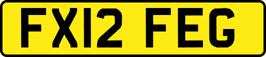 FX12FEG