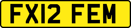 FX12FEM