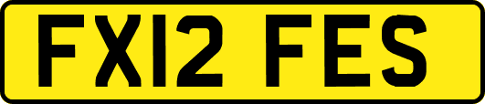 FX12FES