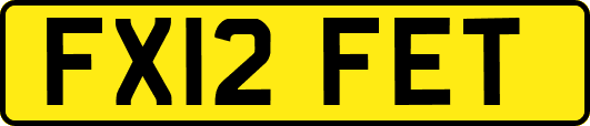 FX12FET